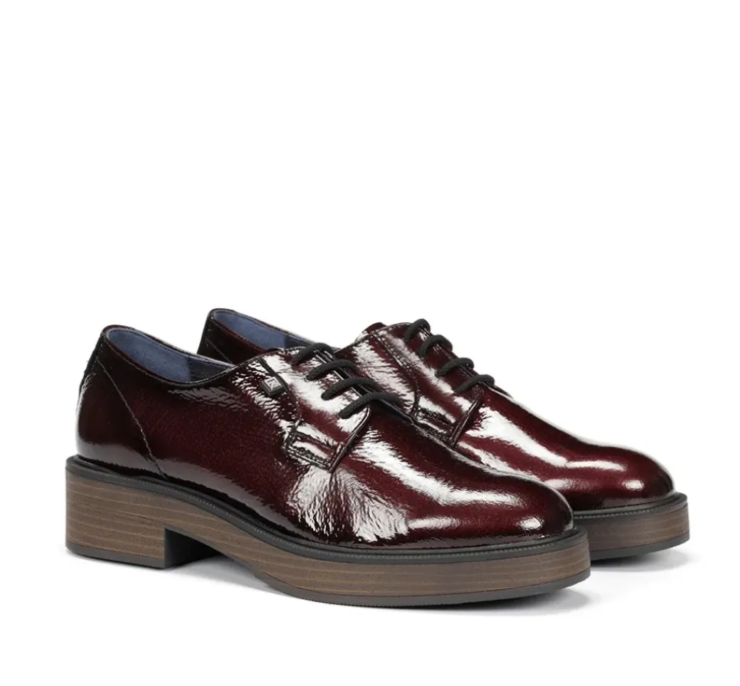IDALY D9387 Zapato Burdeos