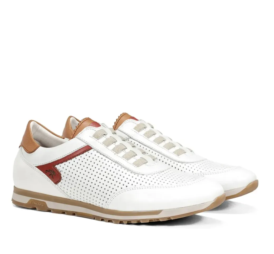 SANDER F1189 Deportivo Blanco